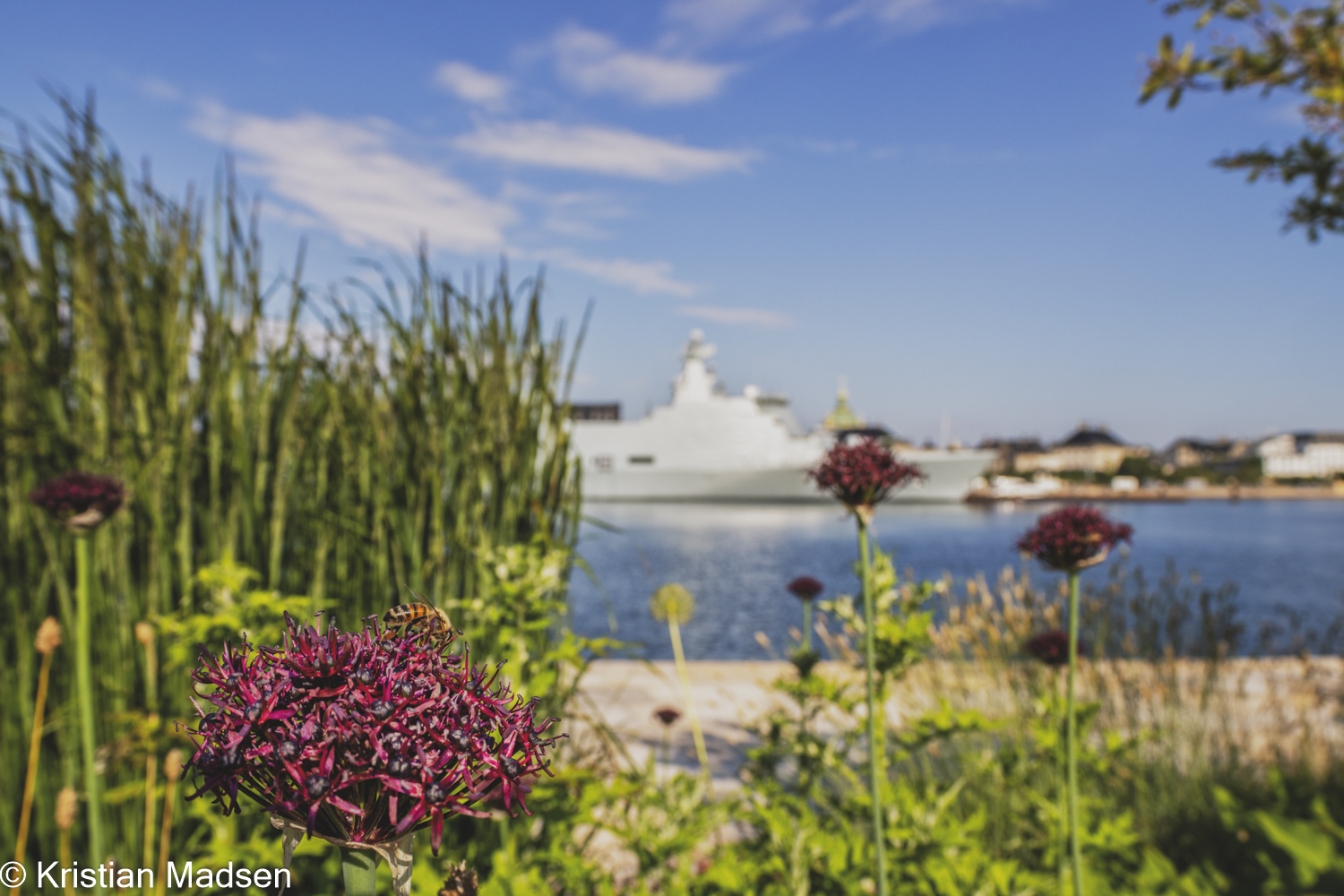 flowers and a frigate
