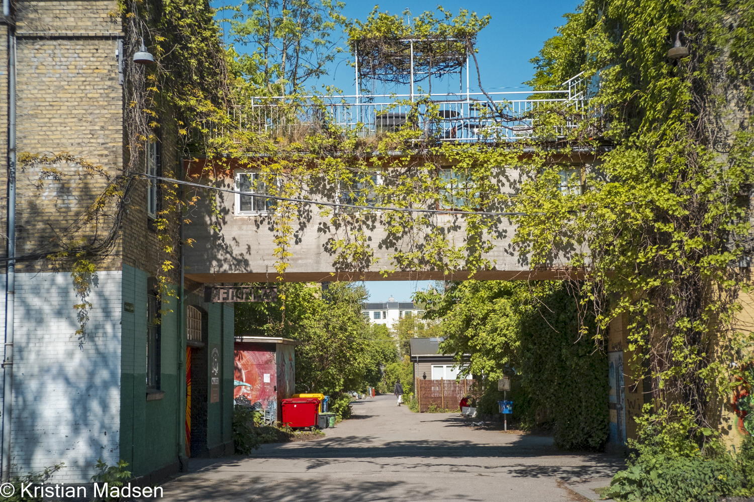 Let it grow - Christiania