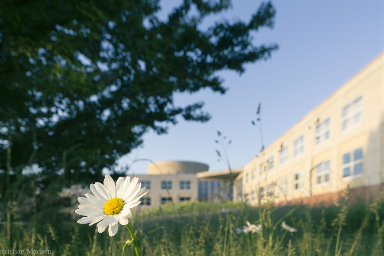 flower and University building (DTU Ballerup)